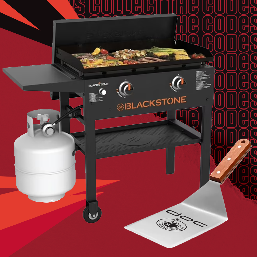 Blackstone 2 burner 28